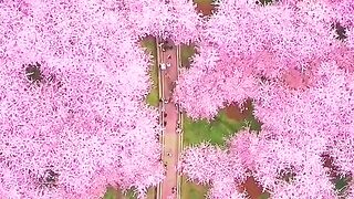 amazing nature beauty | follow