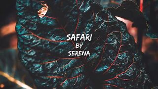 viral tiktok song (lyrics)