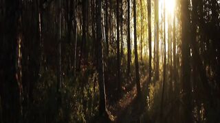 سورة اهد  Ahed - #shorts #trending #viral #quran#status tatus #quotes#hadith # #muslim #hindi#recipe#asmr