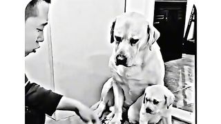 Loving 3