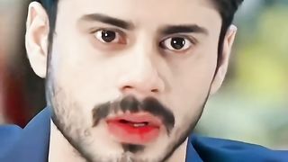 Terebin 4