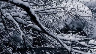 Best nature video ????