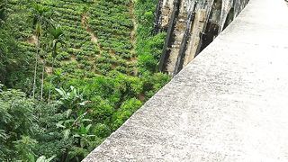 Ella nine arch