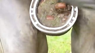 SATISFYING!