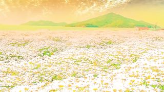 Natuaral scenes