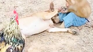 Funny video 761