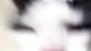 Cute Cats ????and Funniest Dogs ???? Best Funniest Videos 2023