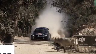 Top 100 des meilleurs moments en 50 ans de WRC