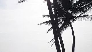 Sunshine summer in ceylon