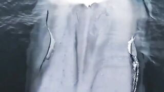 Miracles of Allah 2
