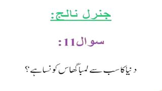 General knowledge in urdu #urduquotes