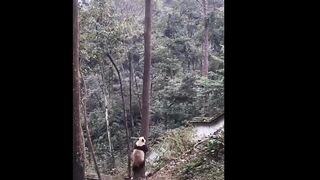 Funny Compilation part 2