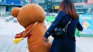 bear funny