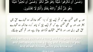تم اپنے پروردگار کو عاجزی کے ساتھ چپکے چپکے پکارا کرو۔ 9