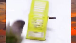 video funny 3
