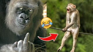 Girls Prank VS Boys Prank