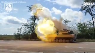 Ukrainian Marines destroy Russia forces with '2S1 Gvozdika' self-propelled howitzer