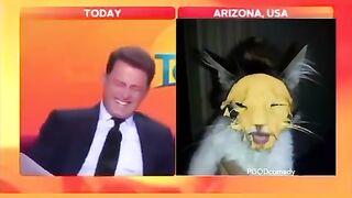Live Arizona USA