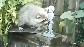 When Thirst and Hunger