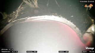 НОВЫЕ ПОДРОБНОСТИ диверсий на СП-1 и СП-2 // Опубликованы кадры!