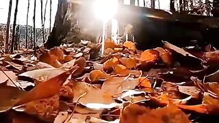 Осень унылая пора...