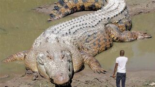 30 самых больших животных, когда-либо пойманных!