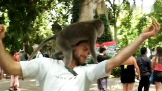Photo with Two Monkeys on the Head