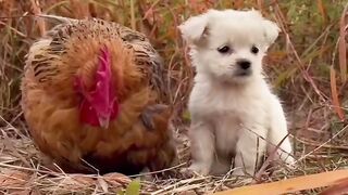 The cutest thing you'll see today????????