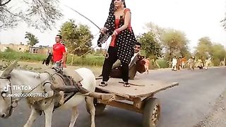 Funny 524