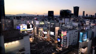 Tokyo's Urban Beat: A 2-Step Tour of Japan's Electric Capital