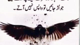 insaan pahad ki Tarah khamosh