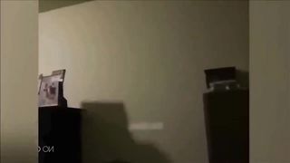 Funny Dogs And Cats Videos 2023 ???????? Best Animal Videos Of The Month ???? #22