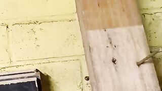 Nail removal tools