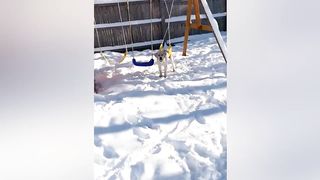 Essayez de ne pas rire Vidéos drôles - Échecs et mésaventures inoubliables (1)