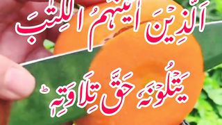 Surah AL BAQARA Ayat/ ALBAQARA beautiful voice/ surah Al BAQARA