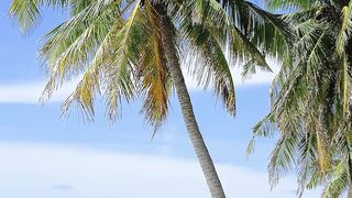 ✅Música para meditar e relaxar, durma bem e bons sonhos #Shorts