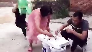 funny video 100