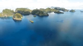 Panorama 5
