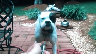 Try Not To Laugh