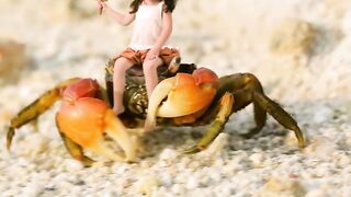 Funny video 774
