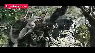 The 3 dinosaur scenes that made King Kong a classic ???? 4K.