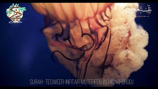Taqweer - Brooj  #trending #viral #quran  #status #quotes #hadith # #muslim #hindi #recipe#asmr