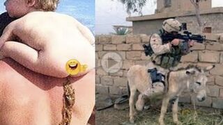 AWW NEW FUNNY 4