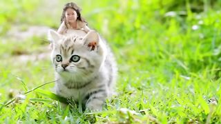 Funny video 777