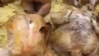 Arabic food ( subscribe please ) 2