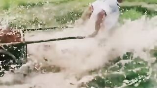 Funny  video????????