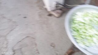 My home breed birds and feeding time