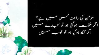 مدینے کاسفر ہے اور میں نمدیدہ نمدیدہ
