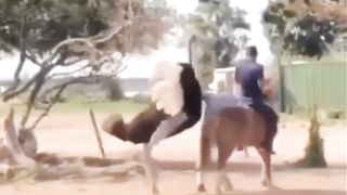 Funny Video Compilation. | Funny Epic Video...
