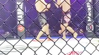 baysangur chamsoudinov combat